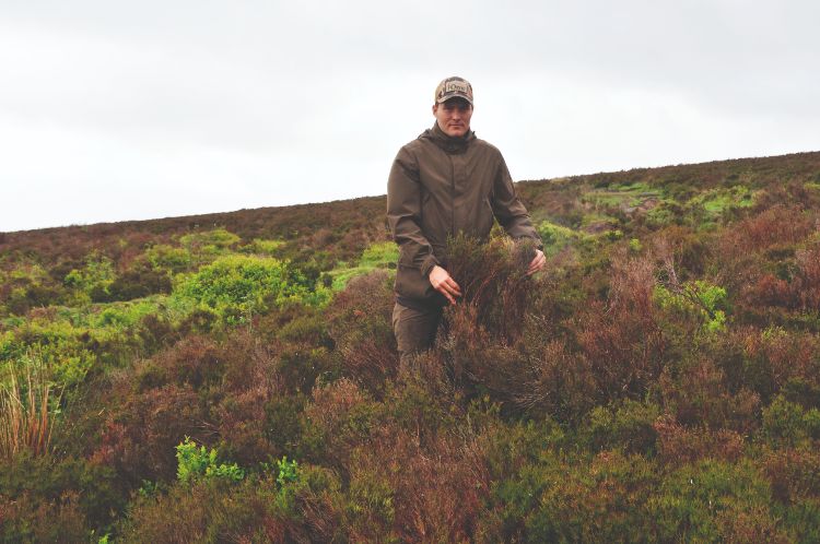 Upland Moorland