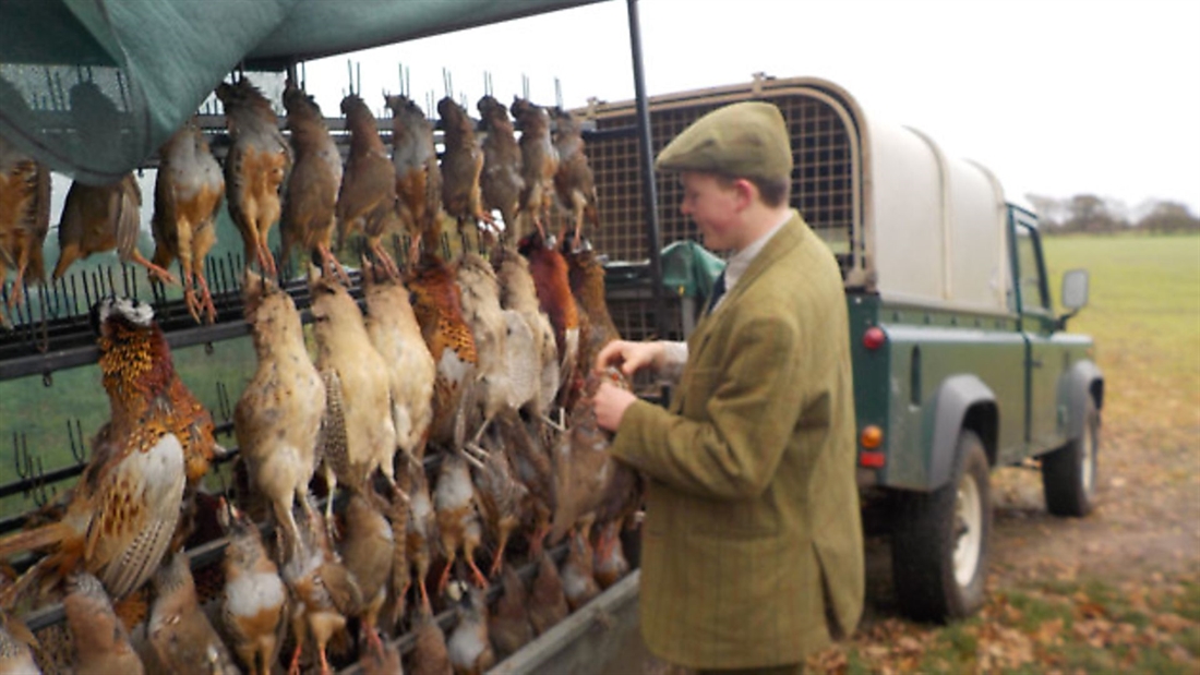 Advice on Game and Wildlife Apprenticeships