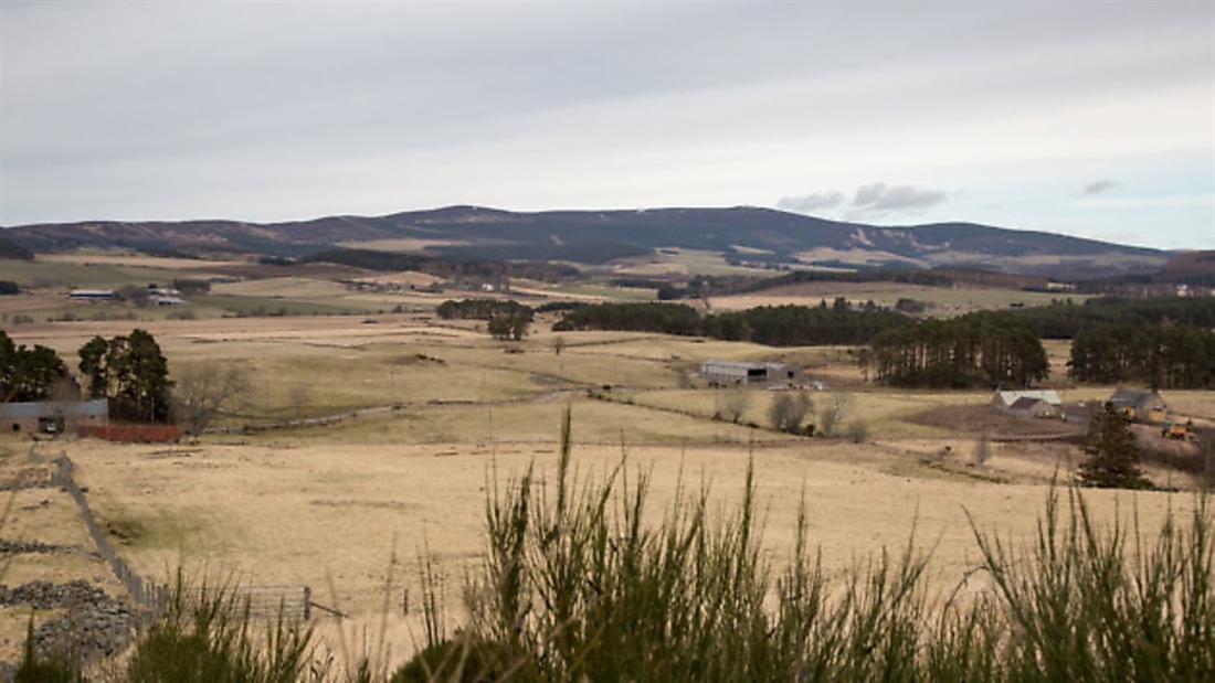 GWCT secures demonstration farm in Scotland (image by GWCT)