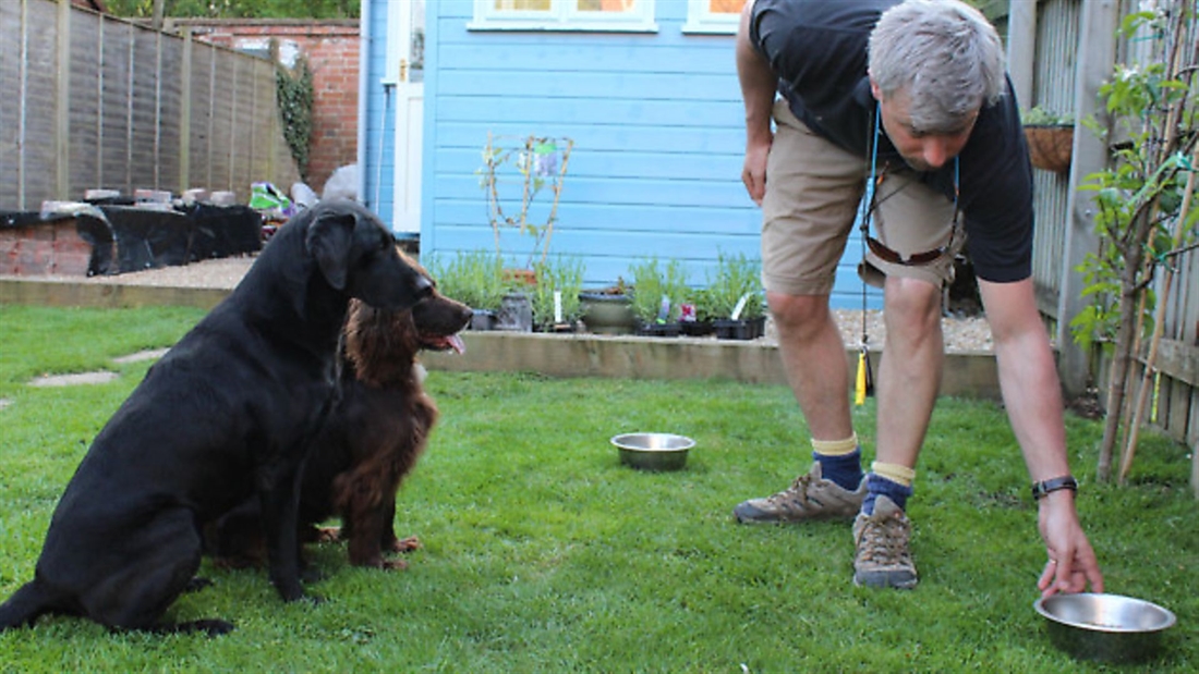 Gun dog behaviour with Lez Graham &#8211; being an effective leader