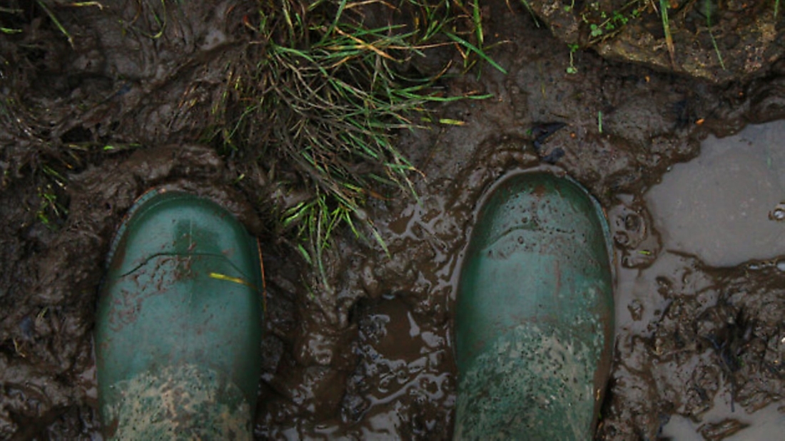 Technique – footwork for clays, pigeons and driven shooting