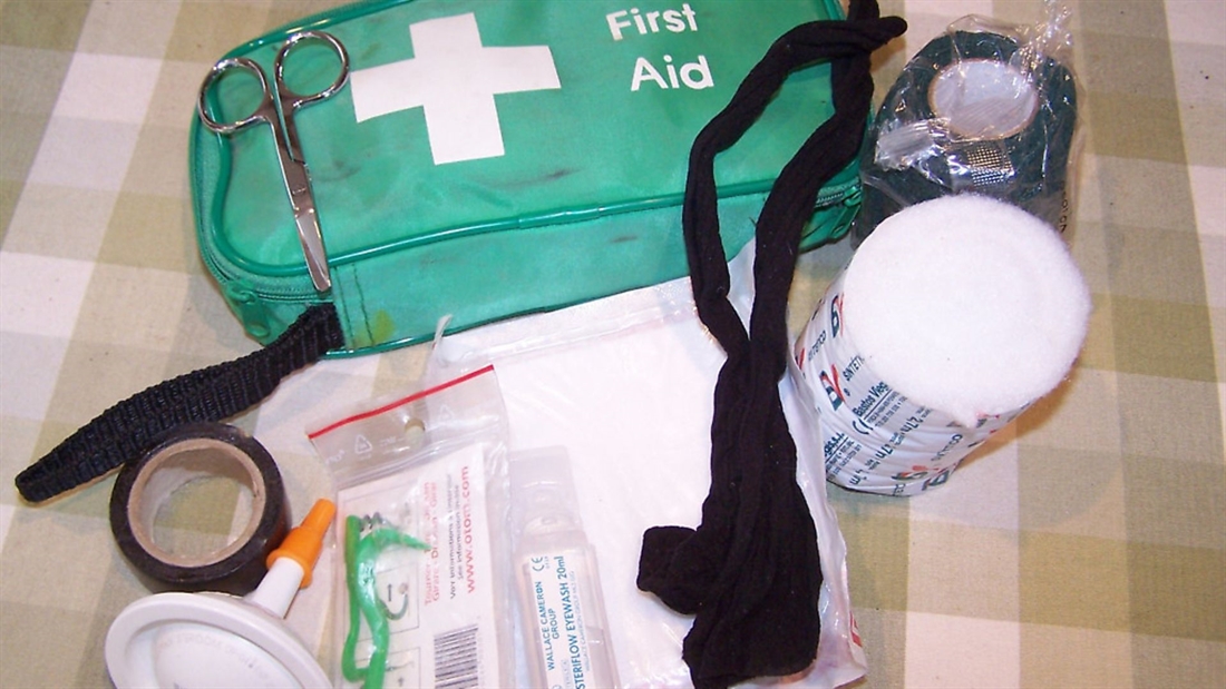 Gundog first aid kit &#8211; what you should carry when out and about