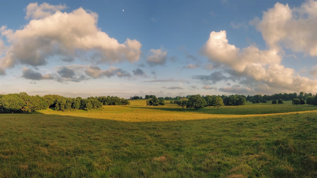 Countryside organisations’ statements following the general election