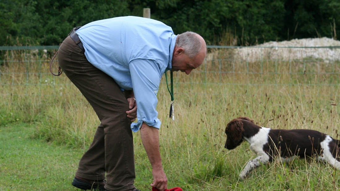 Training to build the retrieve with your young gundog