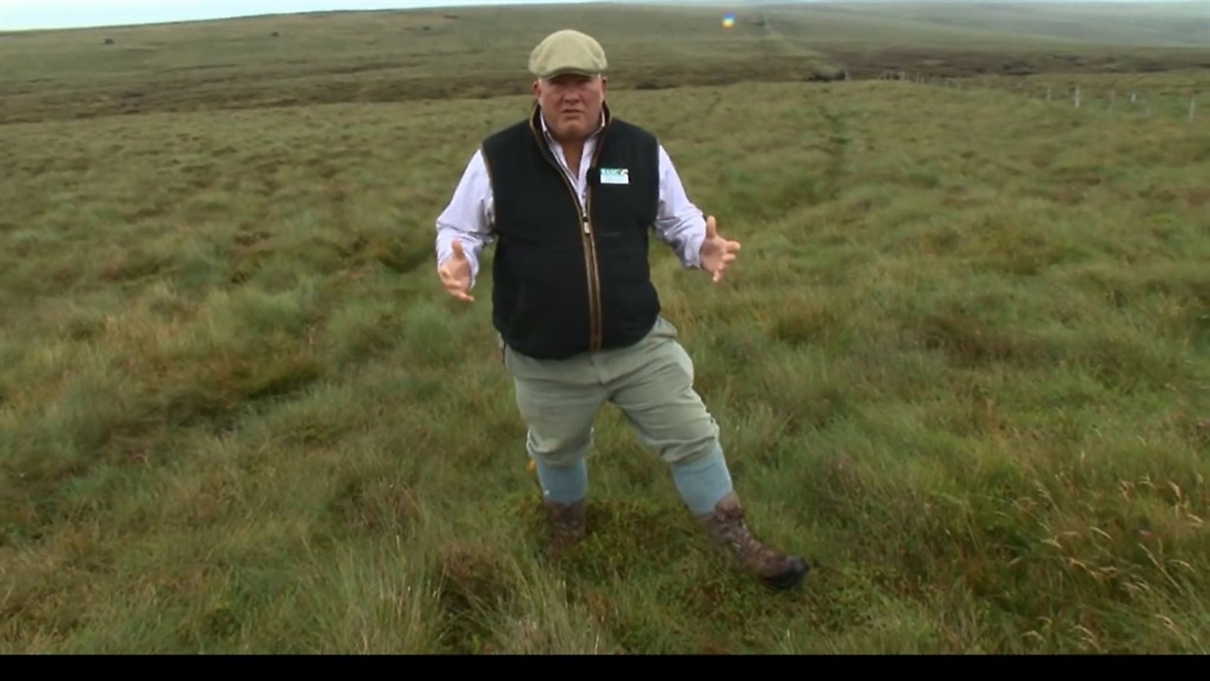 *VIDEO* Rural communities rely on grouse shooting to survive