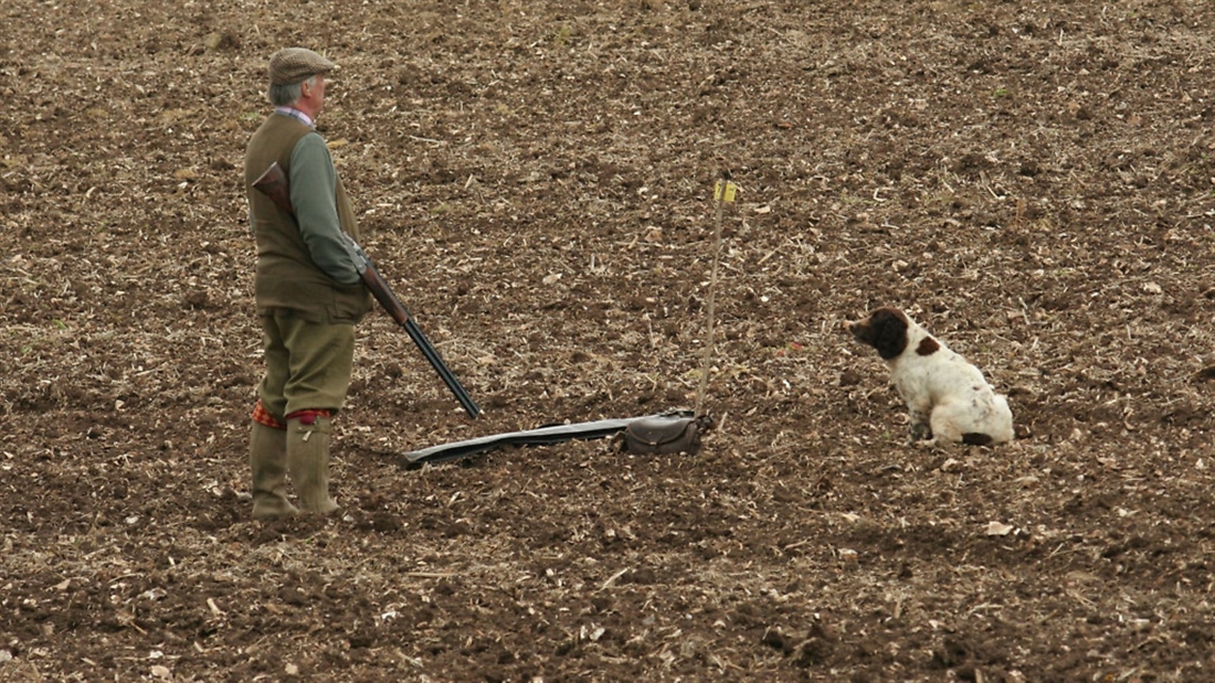 Technique for shooting driven partridge