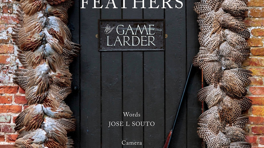 Feathers, The Game Larder by Jose Souto