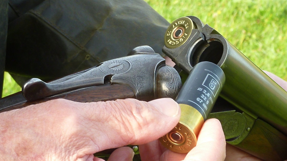 10 best cartridges for late season pheasant