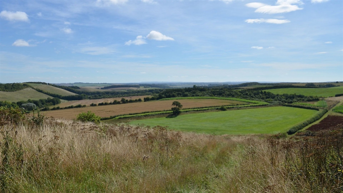 Conservation &#8211; a wildlife haven on the North Wessex Downs