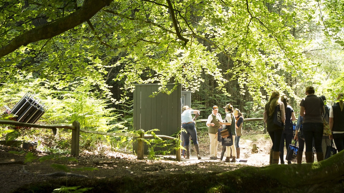 Discover: Hownhall Shooting School