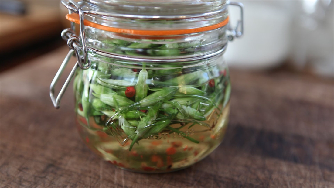 Recipe: Pickled wild garlic buds (great with game meat!)