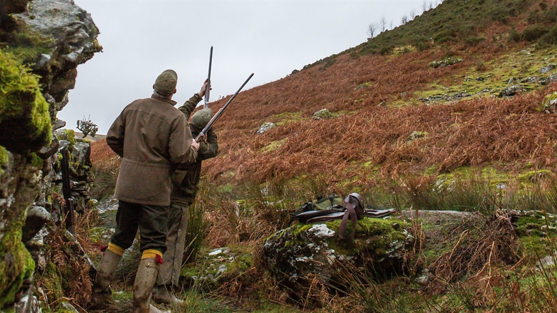 Can you shoot high pheasants with steel cartridges?