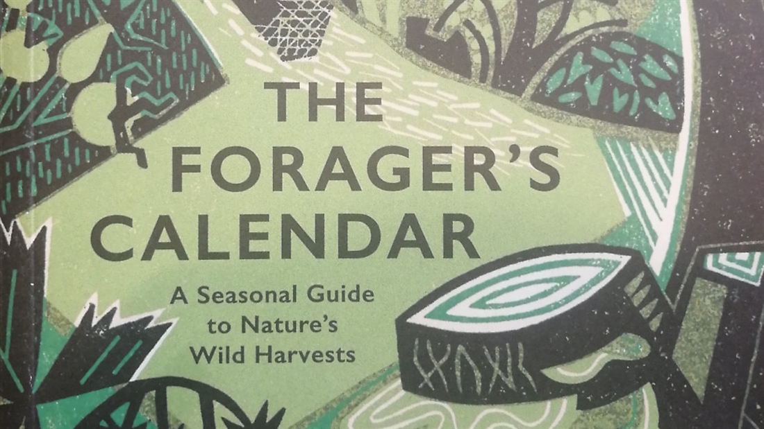 Foraging book &#8211; The Forager’s Calendar by John Wright