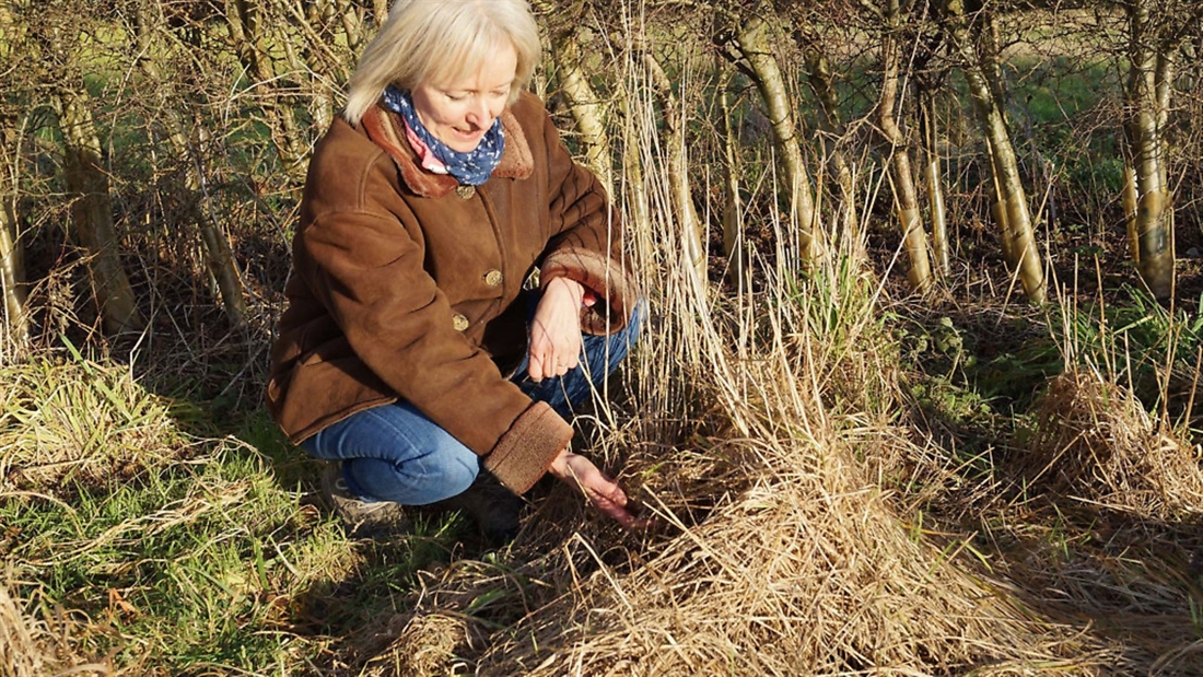 Britain’s working conservationsists