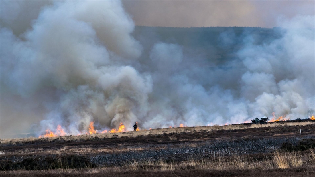 Scottish Greens declare “nature emergency” in bid to ban grouse shooting