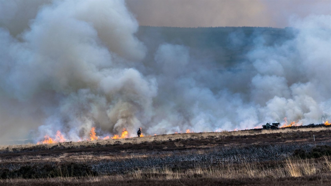 DEFRA recognise necessity of heather burning