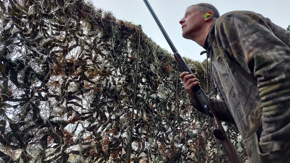 WATCH: Shooting &#038; Country TV | Shooting with Andy Crow 3 | Decoying crows for crop protection