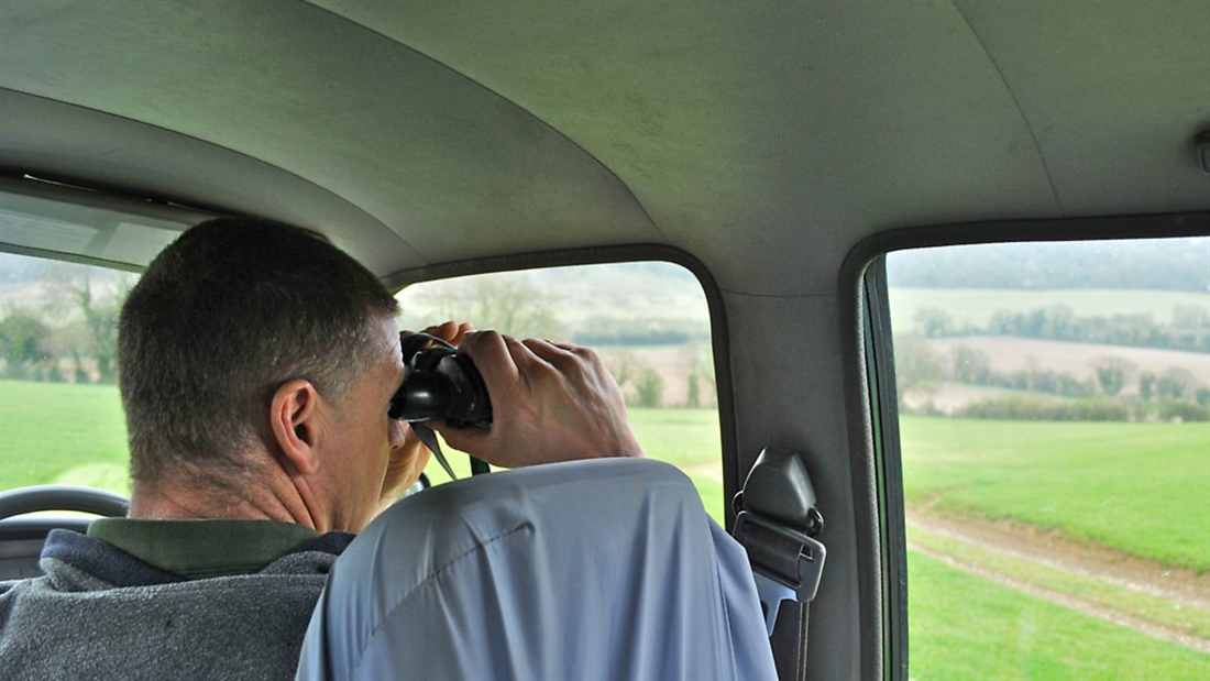 Three top pigeon shooting tips from Crowman