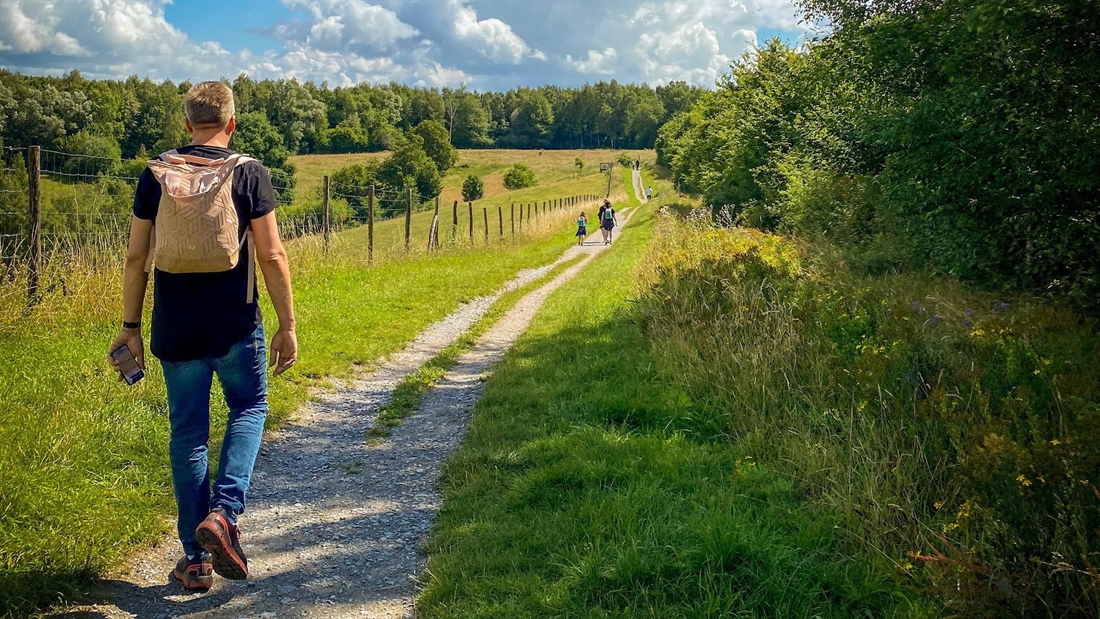 Safeguard the British countryside by Walking for Wildlife with the GWCT