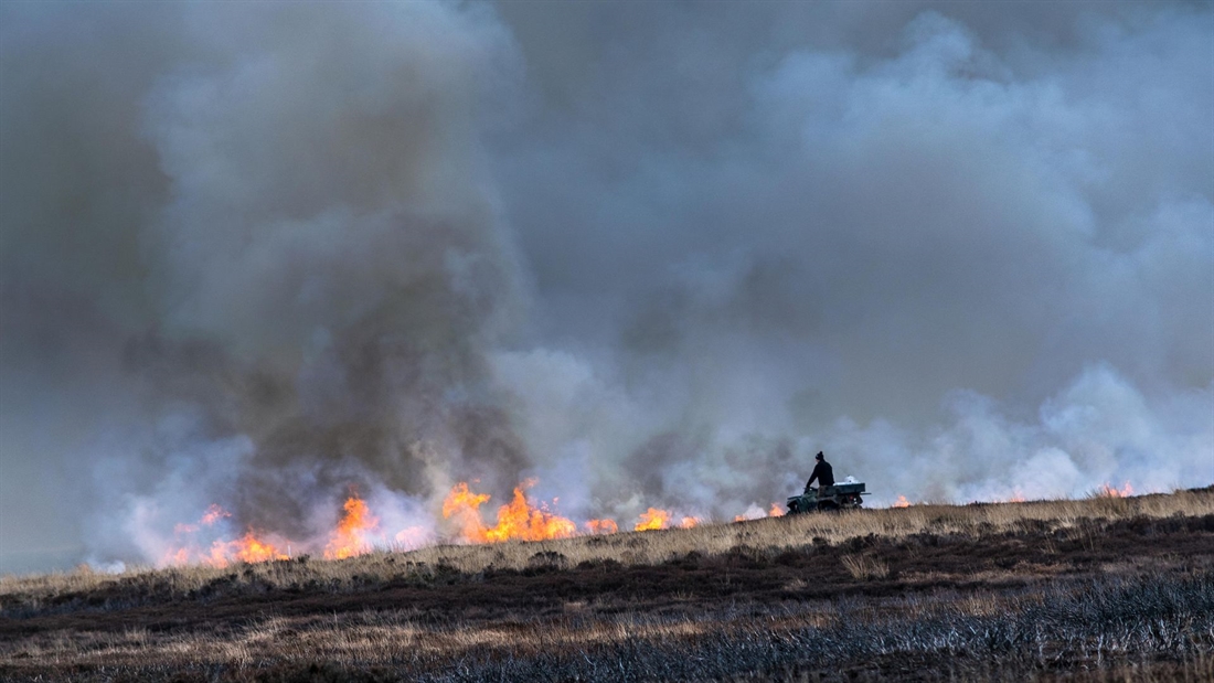 New research confirms controlled burning increases carbon storage soil