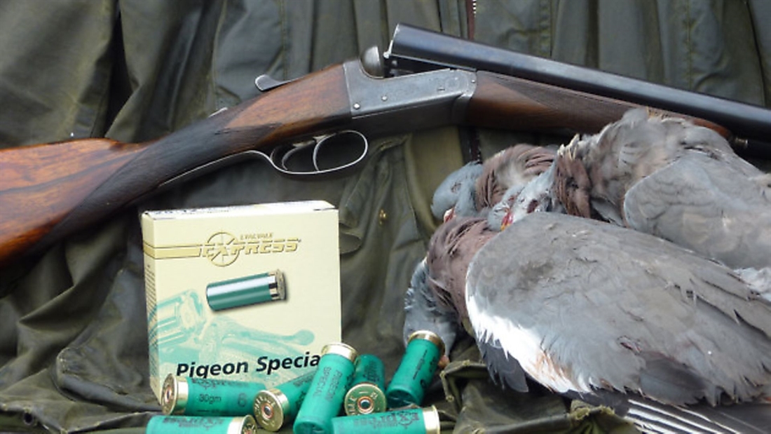 Wads for woodpigeon