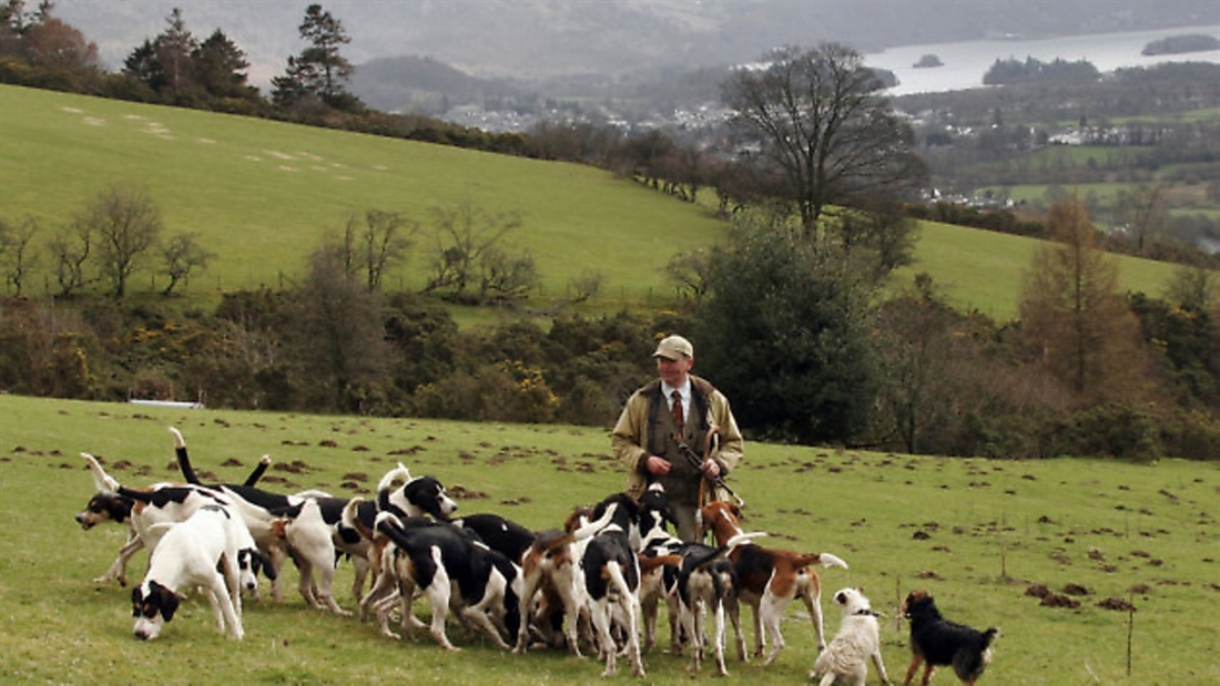 The hounds of Fell