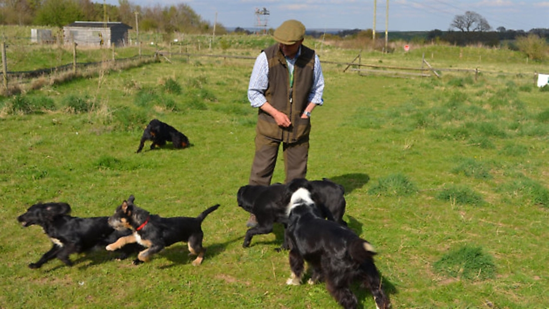 Puppy socialisation training