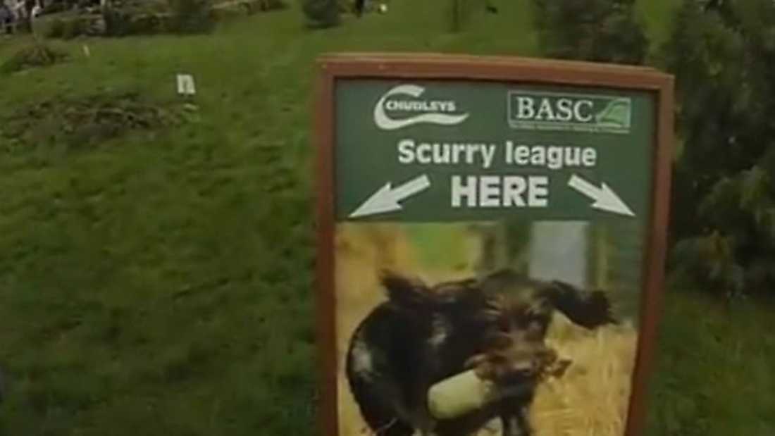 Watch! Midland Game Fair Scurry: one competitor’s unique view