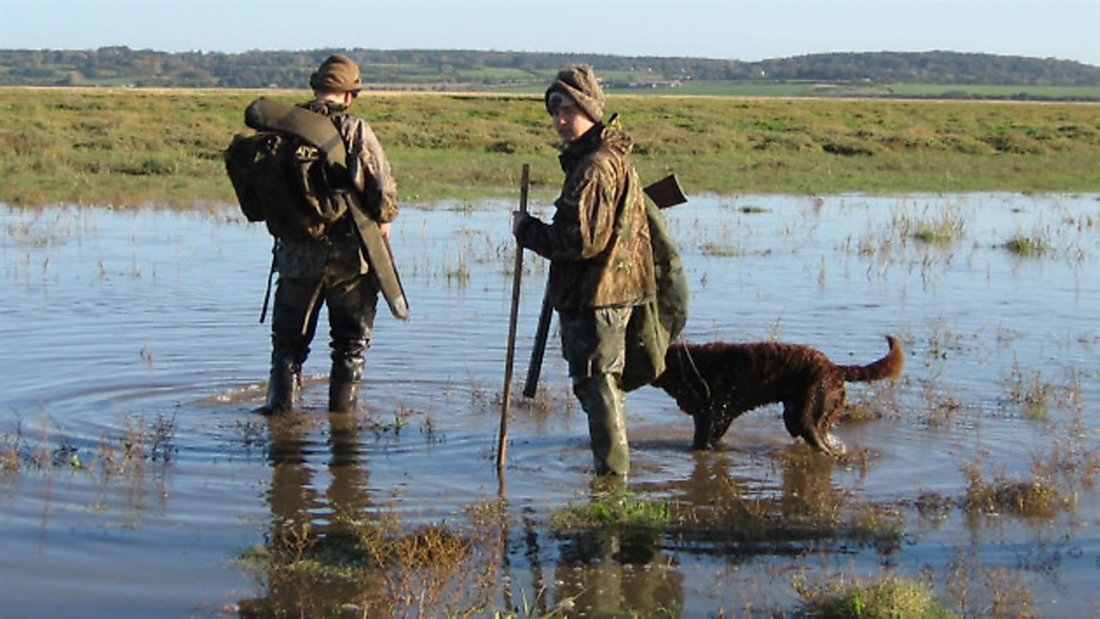 BASC announces details of wildfowling awareness days