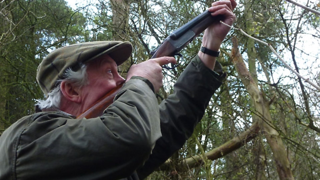 Four of the best pigeon shooting loads