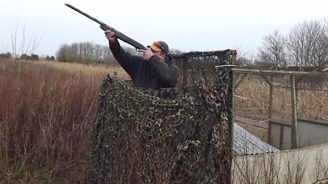 Crow shooting preparation