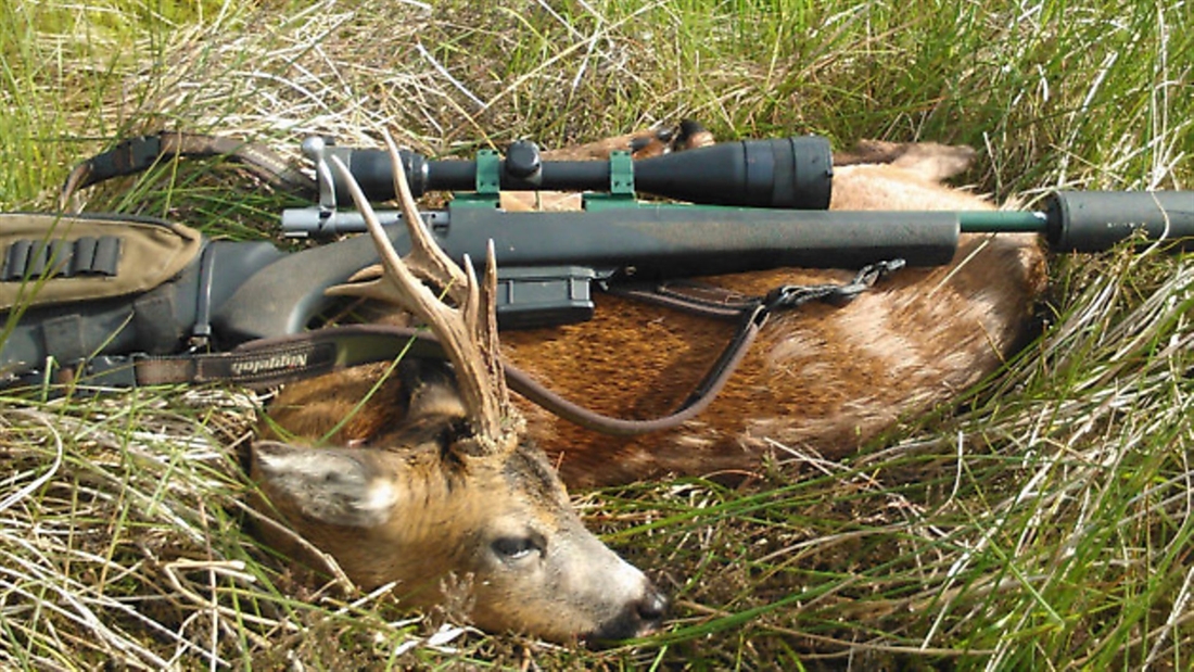 Two separate calibres for foxes and deer?