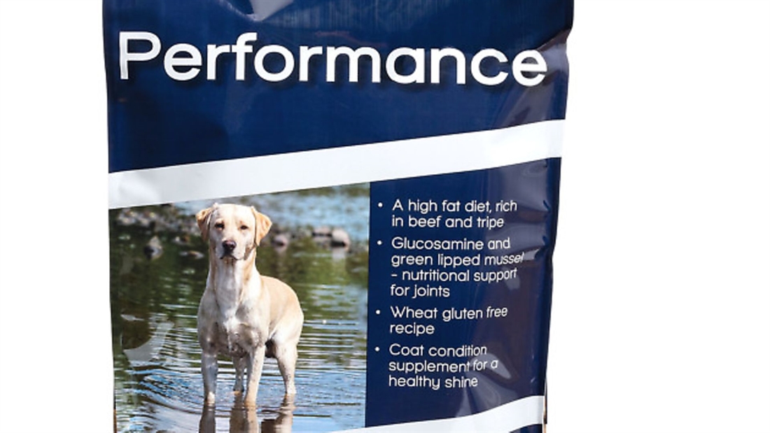 Gundog feeds: 6 of the best