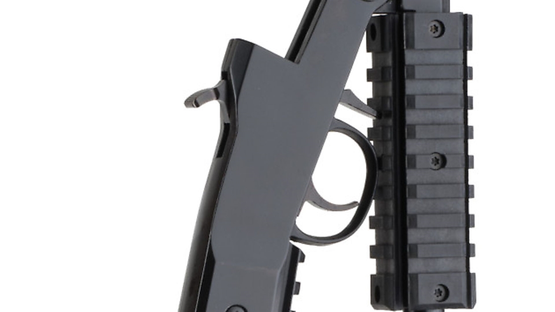 The Little Squirrel rifle from Chiappa Firearms