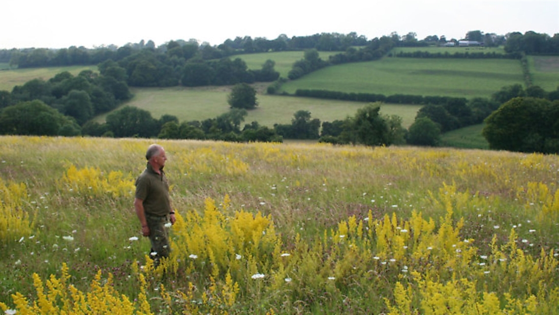 BASC Green Shoots Mapping covers more land than NNRs