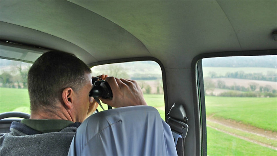 3 top tips for shooting pigeons