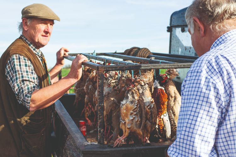 A game cart with a selection of shot game birds on it