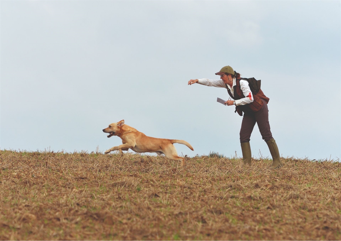 Long distance retrieves in the field