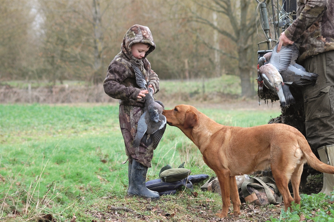 Pigeon shooting: then &#038; now