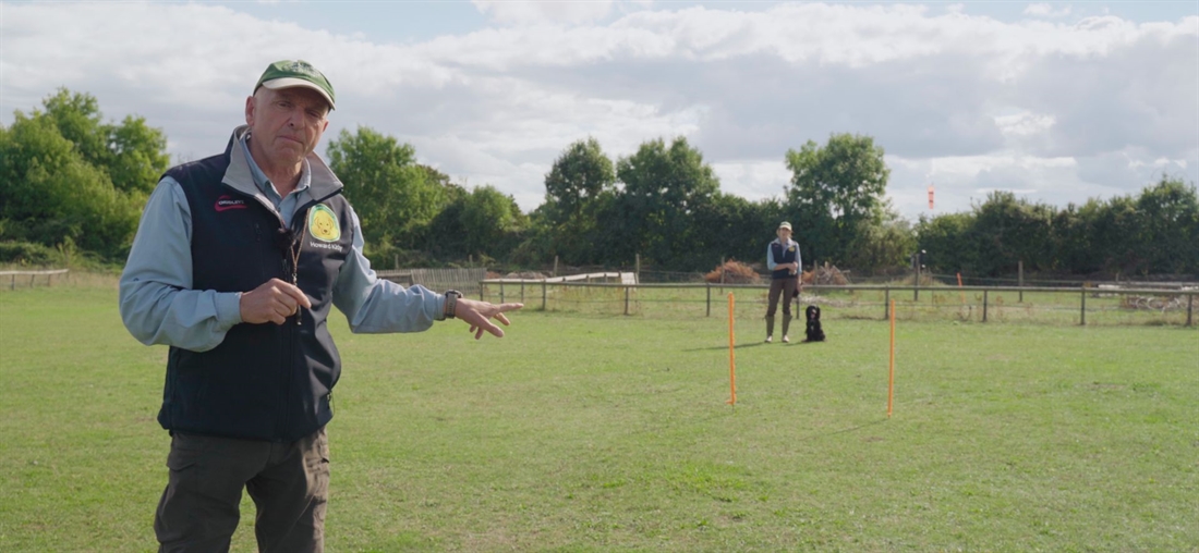 Watch: Training gundogs to not swap birds