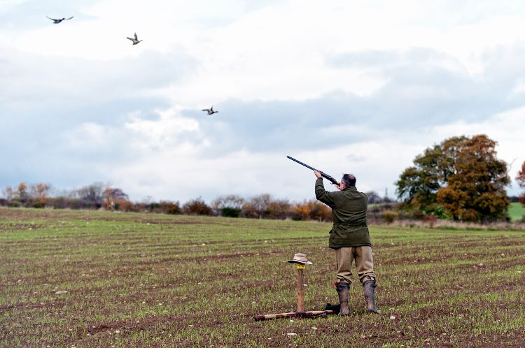 A man shooting on a UK game shot