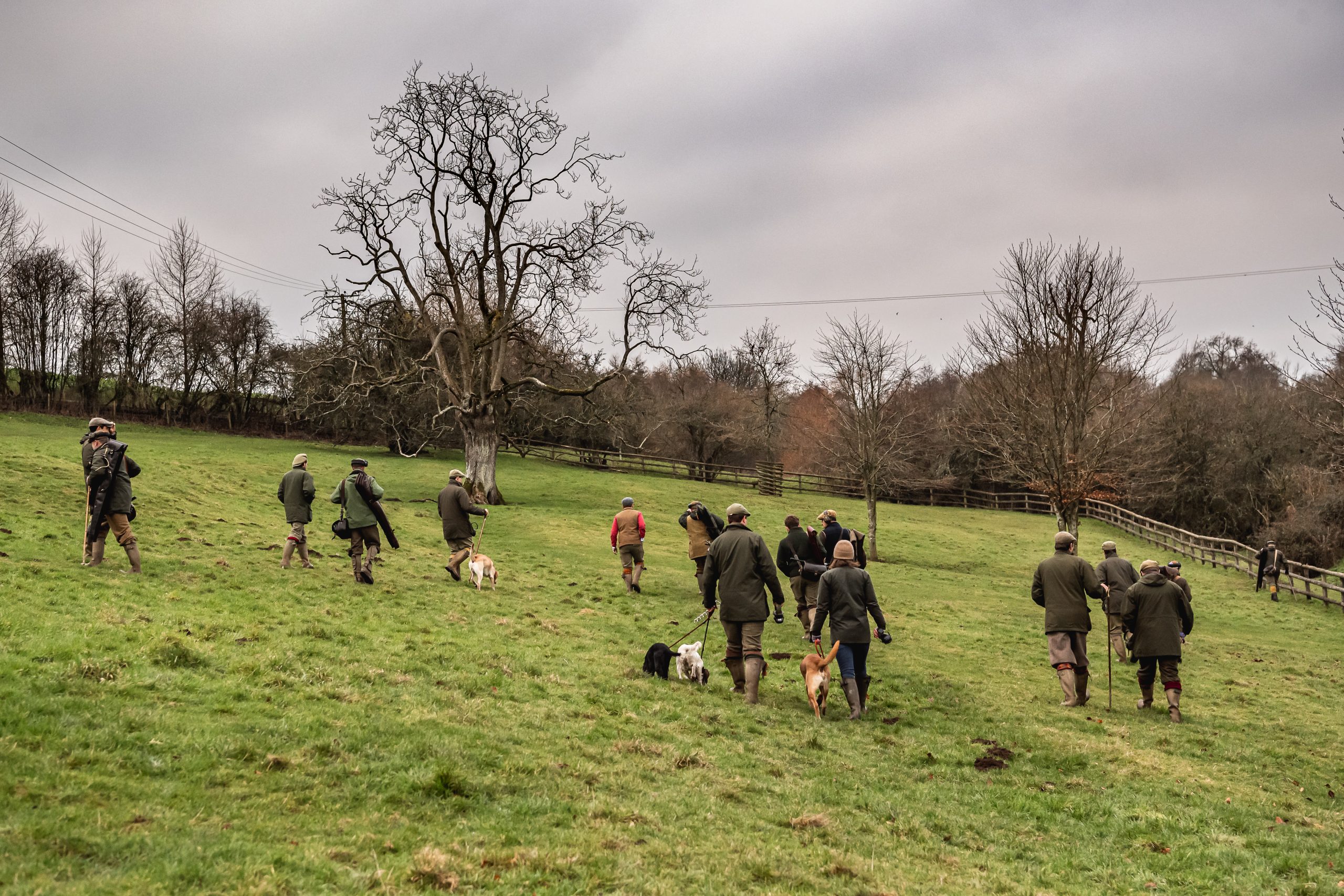 A team of guns walking to a drive