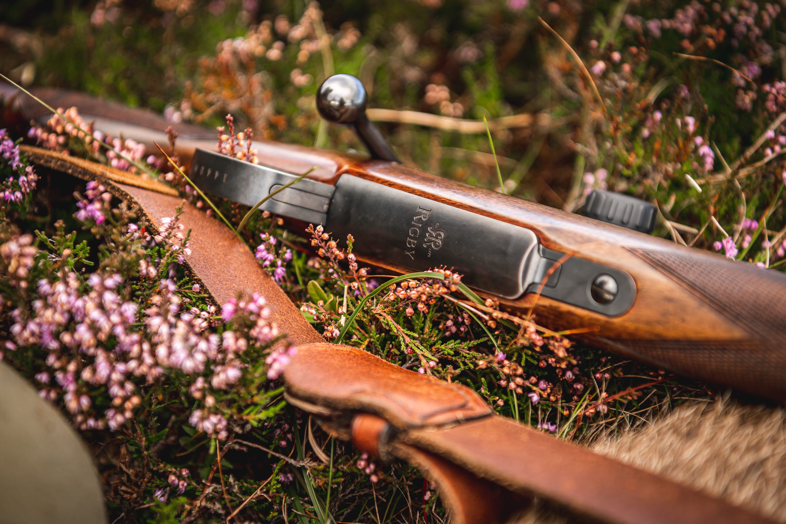 Rifle laying in heather