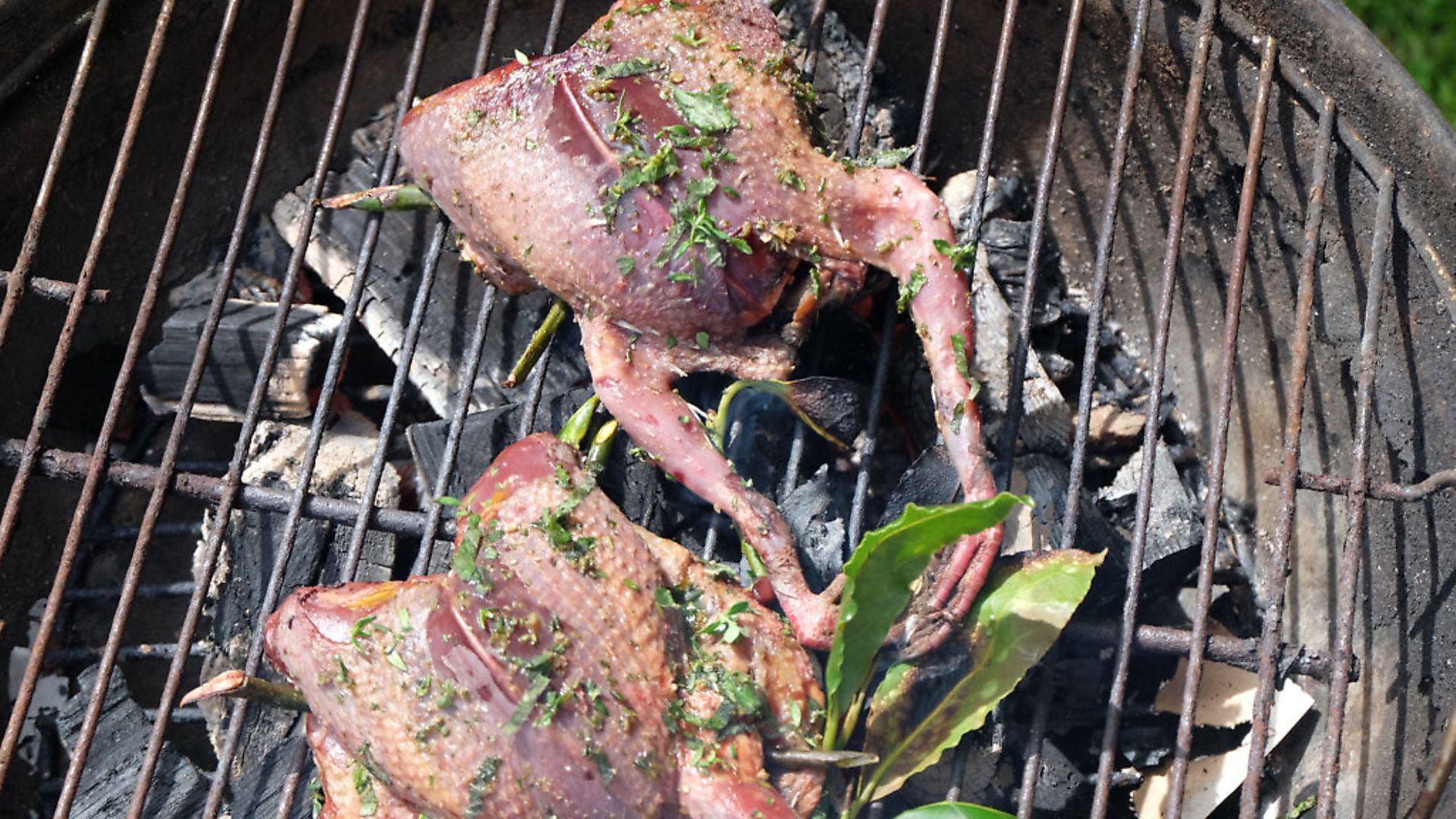 Whole pigeons on a BBQ