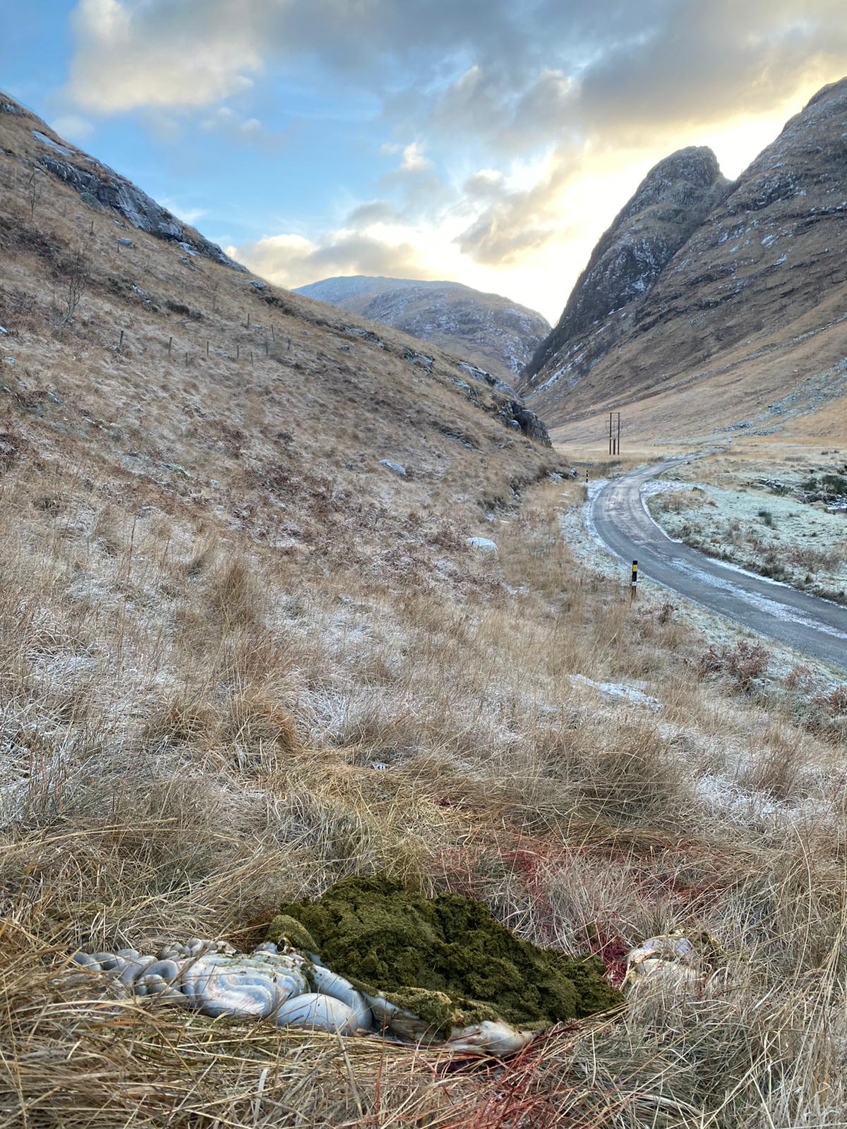 Glen Coe