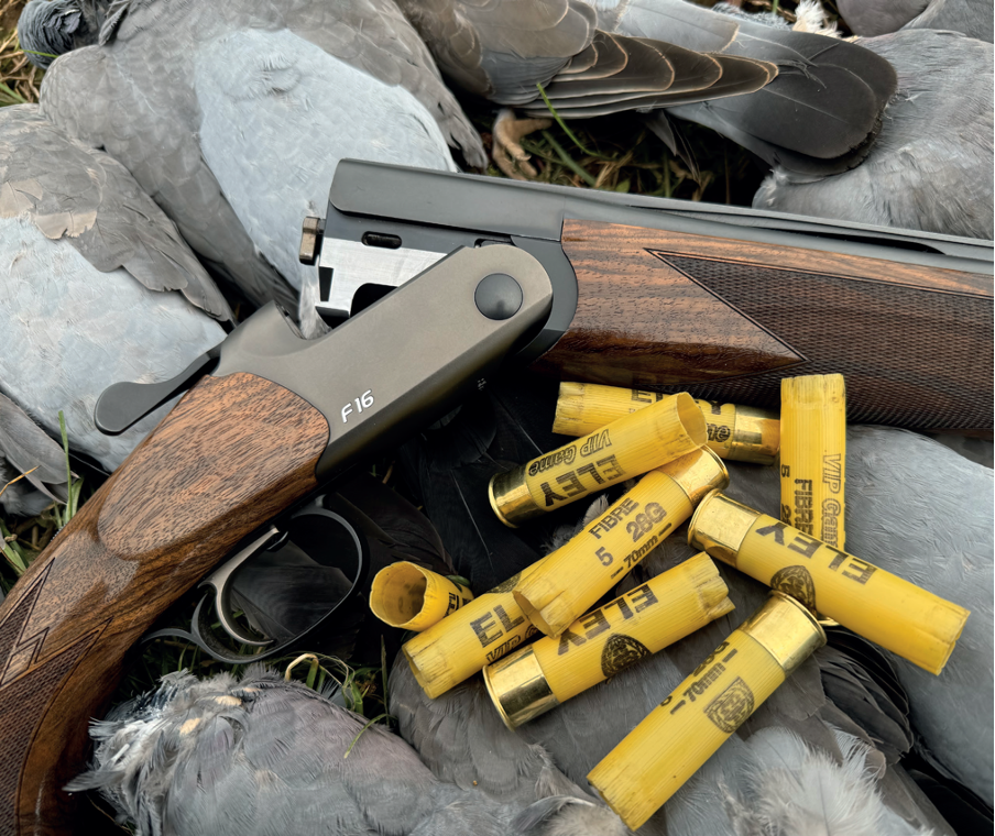 An open and empty shotgun with empty cartridges