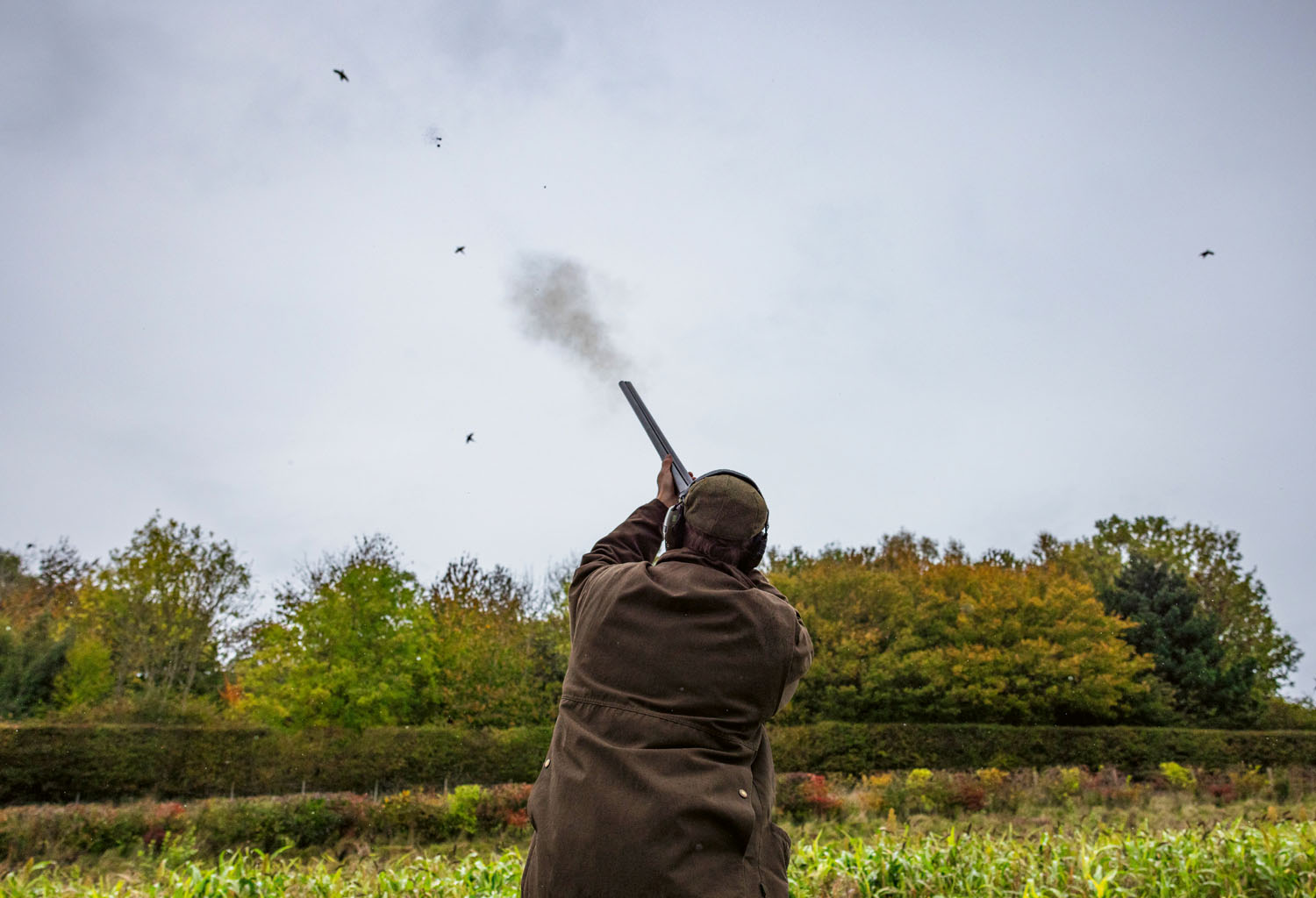 Steel shot and classic shotguns: How to keep your favourite gun in the field
