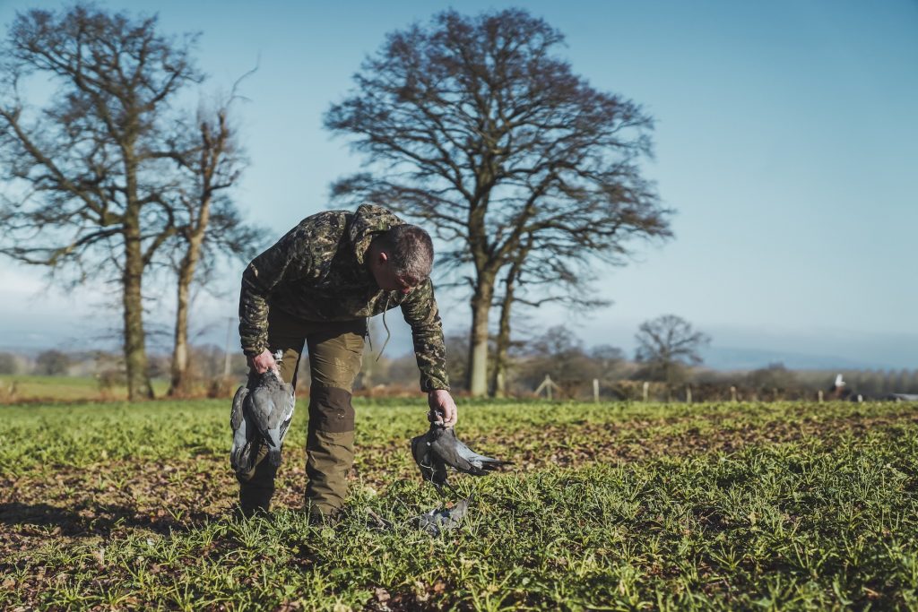 Top decoying tips for crop protection: Andy Crow’s expert advice