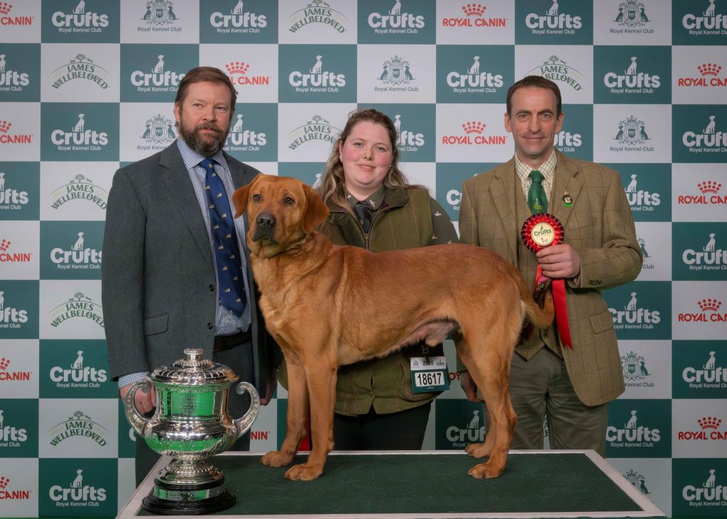 Gundogs make history at Crufts