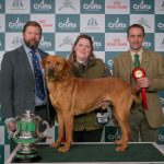 Gundogs make history at Crufts